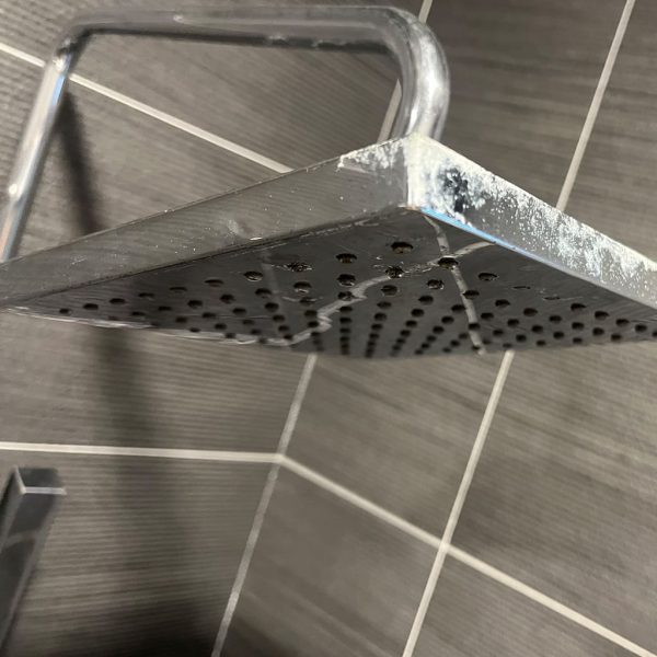 蓮蓬頭